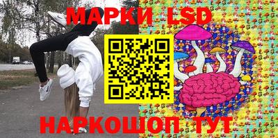 крисы Гатчина