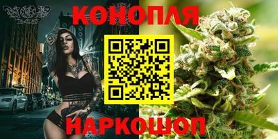 сатива Гагарин