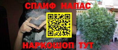 крисы Гатчина