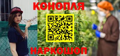 крисы Гатчина