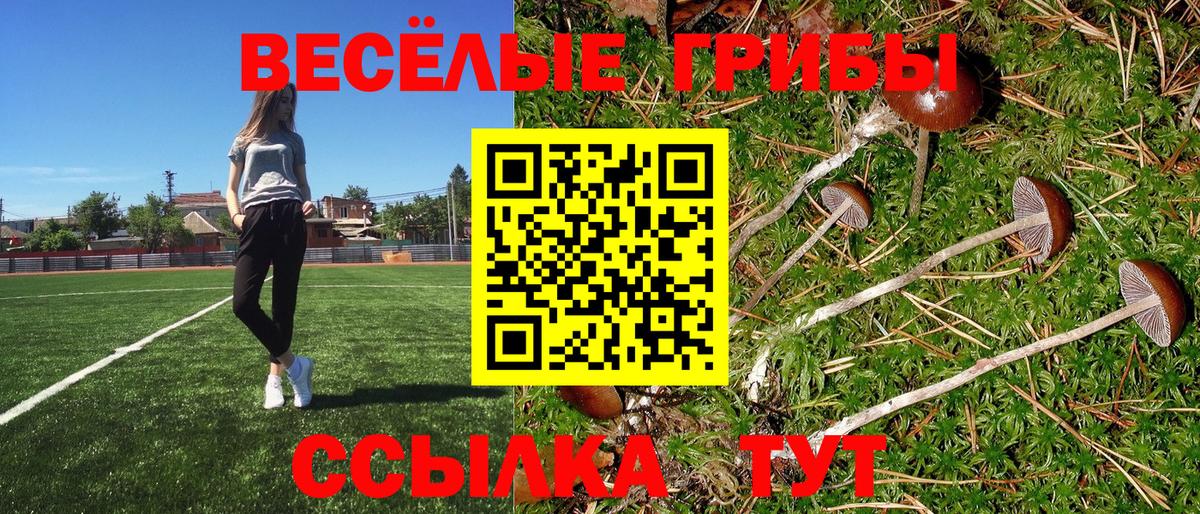 Берёзовский  Псилоцибиновые грибы Psilocybine cubensis  Вход с VPN 